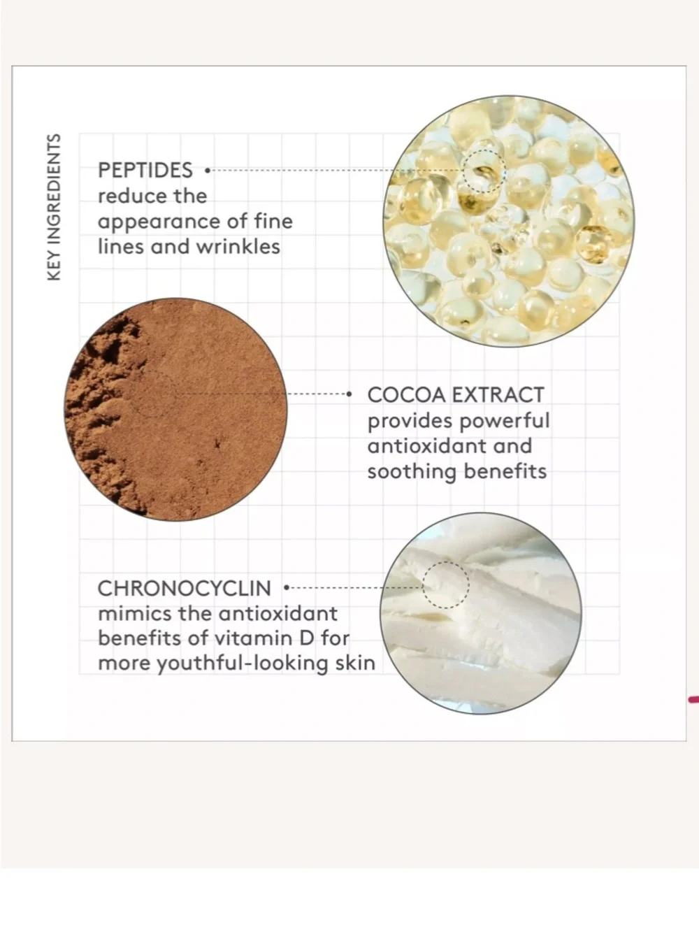 Drunk elephant bronzing drops